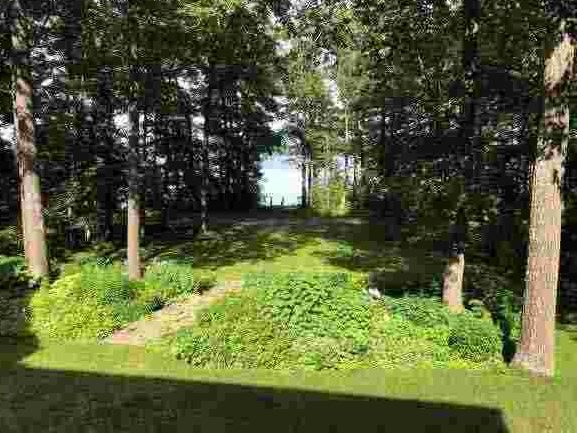 Rain garden