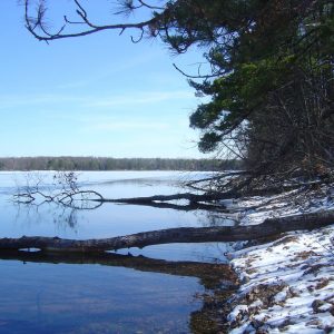 Ice Out Stone Lake